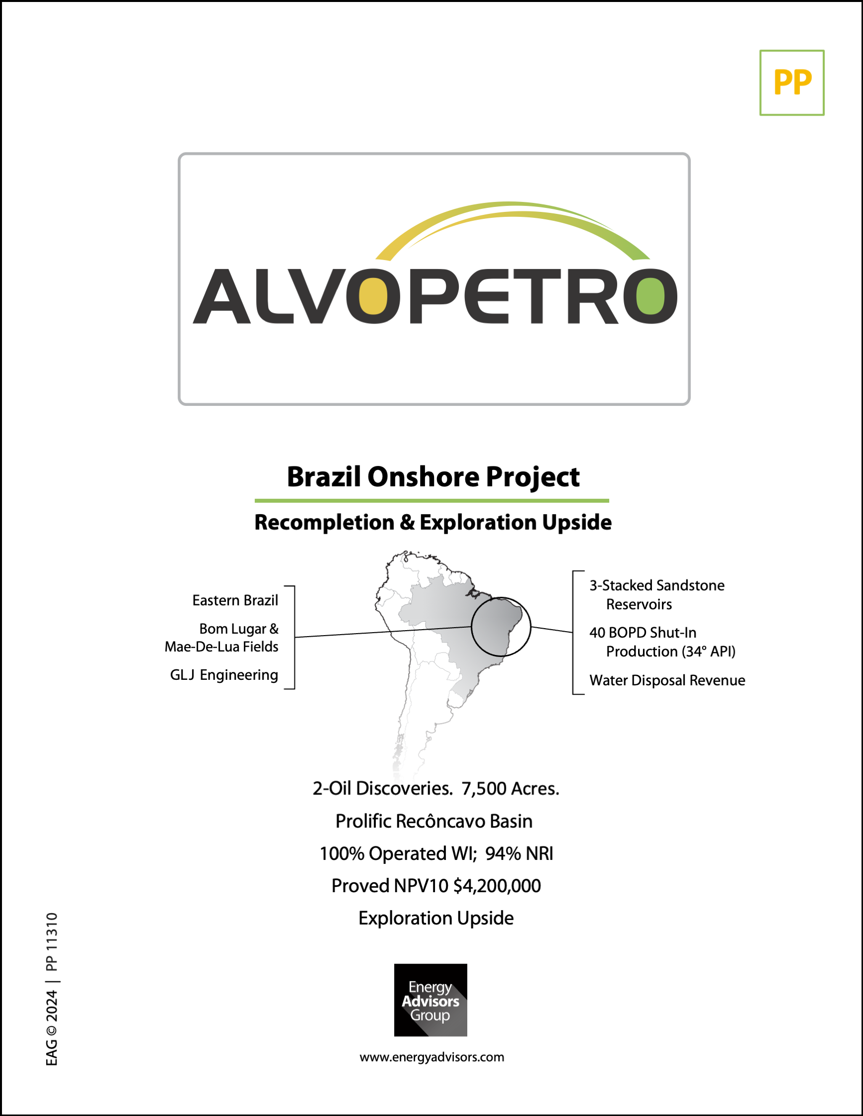 ALVOPETRO BRAZIL DISCOVERY